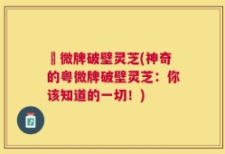 粵微牌破壁灵芝(神奇的粤微牌破壁灵芝：你该知道的一切！)