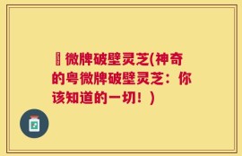 粵微牌破壁灵芝(神奇的粤微牌破壁灵芝：你该知道的一切！)
