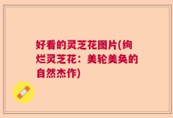 好看的灵芝花图片(绚烂灵芝花：美轮美奂的自然杰作)