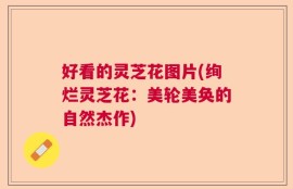 好看的灵芝花图片(绚烂灵芝花：美轮美奂的自然杰作)