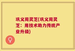 巩义周灵芝(巩义周灵芝：用技术助力传统产业升级)