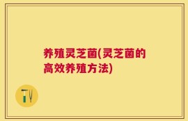 养殖灵芝菌(灵芝菌的高效养殖方法)