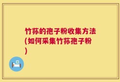 竹荪的孢子粉收集方法(如何采集竹荪孢子粉)