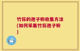 竹荪的孢子粉收集方法(如何采集竹荪孢子粉)