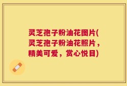 灵芝孢子粉油花图片(灵芝孢子粉油花照片，精美可爱，赏心悦目)