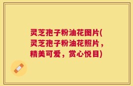 灵芝孢子粉油花图片(灵芝孢子粉油花照片，精美可爱，赏心悦目)