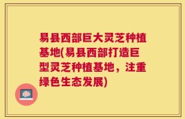 易县西部巨大灵芝种植基地(易县西部打造巨型灵芝种植基地，注重绿色生态发展)
