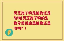 灵芝孢子粉是植物还是动物(灵芝孢子粉的生物分类到底是植物还是动物？)