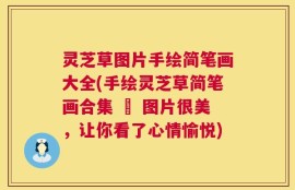 灵芝草图片手绘简笔画大全(手绘灵芝草简笔画合集 – 图片很美，让你看了心情愉悦)