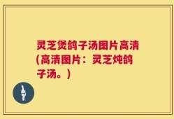灵芝煲鸽子汤图片高清(高清图片：灵芝炖鸽子汤。)