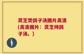 灵芝煲鸽子汤图片高清(高清图片：灵芝炖鸽子汤。)