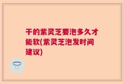 干的紫灵芝要泡多久才能软(紫灵芝泡发时间建议)