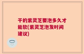 干的紫灵芝要泡多久才能软(紫灵芝泡发时间建议)