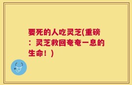 要死的人吃灵芝(重磅：灵芝救回奄奄一息的生命！)