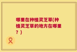 哪里在种植灵芝草(种植灵芝草的地方在哪里？)