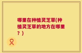哪里在种植灵芝草(种植灵芝草的地方在哪里？)