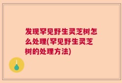 发现罕见野生灵芝树怎么处理(罕见野生灵芝树的处理方法)