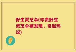 野生灵芝伞(珍贵野生灵芝伞被发现，引起热议)