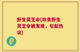 野生灵芝伞(珍贵野生灵芝伞被发现，引起热议)