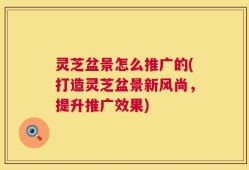 灵芝盆景怎么推广的(打造灵芝盆景新风尚，提升推广效果)