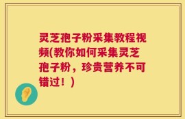 灵芝孢子粉采集教程视频(教你如何采集灵芝孢子粉，珍贵营养不可错过！)