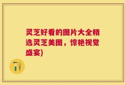 灵芝好看的图片大全精选灵芝美图，惊艳视觉盛宴)