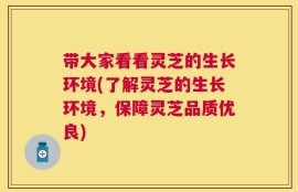 带大家看看灵芝的生长环境(了解灵芝的生长环境，保障灵芝品质优良)