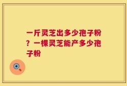 一斤灵芝出多少孢子粉？一棵灵芝能产多少孢子粉