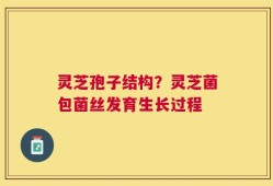 灵芝孢子结构？灵芝菌包菌丝发育生长过程
