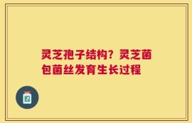 灵芝孢子结构？灵芝菌包菌丝发育生长过程