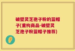 破壁灵芝孢子粉的蓝帽子(重构商品-破壁灵芝孢子粉蓝帽子推荐)