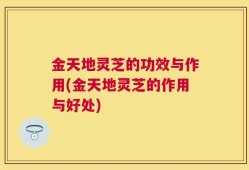 金天地灵芝的功效与作用(金天地灵芝的作用与好处)