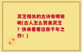 灵芝相关的古诗有哪些呢(古人怎么赞美灵芝？快来看看这些千年之作！)