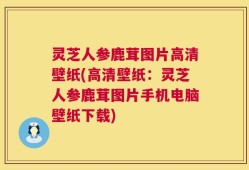 灵芝人参鹿茸图片高清壁纸(高清壁纸：灵芝人参鹿茸图片手机电脑壁纸下载)