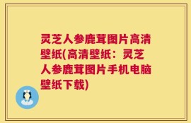 灵芝人参鹿茸图片高清壁纸(高清壁纸：灵芝人参鹿茸图片手机电脑壁纸下载)