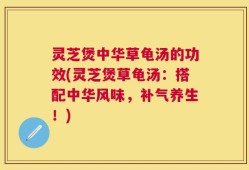 灵芝煲中华草龟汤的功效(灵芝煲草龟汤：搭配中华风味，补气养生！)