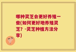 哪种灵芝会更好养殖一些(如何更好地养殖灵芝？-灵芝种植方法分享)