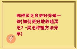 哪种灵芝会更好养殖一些(如何更好地养殖灵芝？-灵芝种植方法分享)