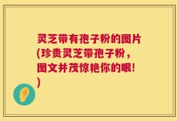 灵芝带有孢子粉的图片(珍贵灵芝带孢子粉，图文并茂惊艳你的眼!)