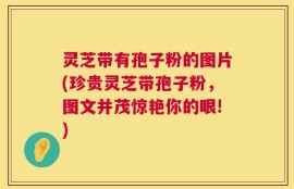 灵芝带有孢子粉的图片(珍贵灵芝带孢子粉，图文并茂惊艳你的眼!)