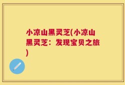 小凉山黑灵芝(小凉山黑灵芝：发现宝贝之旅)