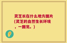 灵芝长在什么地方图片(灵芝的自然生长环境，一图览。)
