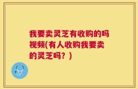 我要卖灵芝有收购的吗视频(有人收购我要卖的灵芝吗？)