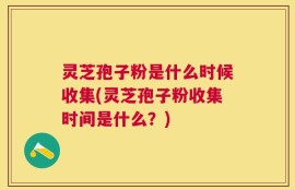 灵芝孢子粉是什么时候收集(灵芝孢子粉收集时间是什么？)