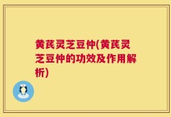 黄芪灵芝豆仲(黄芪灵芝豆仲的功效及作用解析)