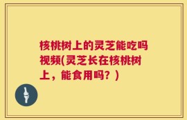 核桃树上的灵芝能吃吗视频(灵芝长在核桃树上，能食用吗？)