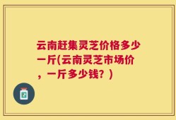云南赶集灵芝价格多少一斤(云南灵芝市场价，一斤多少钱？)