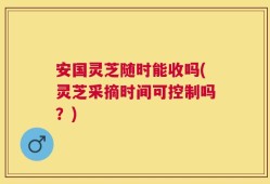安国灵芝随时能收吗(灵芝采摘时间可控制吗？)