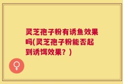 灵芝孢子粉有诱鱼效果吗(灵芝孢子粉能否起到诱饵效果？)