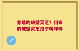 养殖的破壁灵芝？归农的破壁灵芝孢子粉咋样
